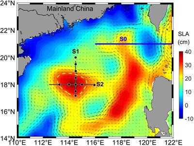 A lens-shaped, cold-core anticyclonic surface eddy in the northern South China Sea